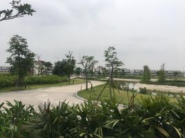  Nhà phố for sale in Tu Son, Bắc Ninh, Thị xã Từ Sơn, Tu Son