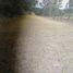  Land for sale in Poncitlan, Jalisco, Poncitlan