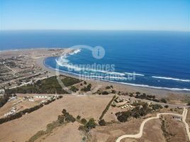  Terreno (Parcela) en venta en Cardenal Caro, Libertador General Bernardo O'Higgins, Pichilemu, Cardenal Caro