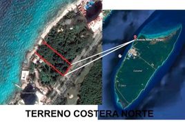  Grundstück zu verkaufen in Cozumel, Quintana Roo, Cozumel