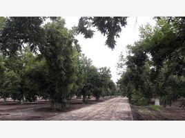  Grundstück zu verkaufen in Matamoros, Coahuila, Matamoros