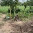  Land for sale in Texistepec, Veracruz, Texistepec