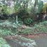  Terreno (Parcela) en venta en Sumurbandung, West Jawa, Sumurbandung, Bandung, West Jawa