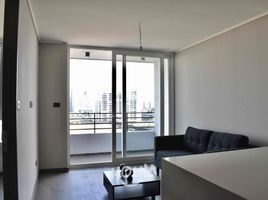 1 Habitación Departamento en alquiler en San Jode de Maipo, Cordillera, San Jode de Maipo
