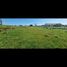  Land for sale in Los Lagos, Osorno, Osorno, Los Lagos