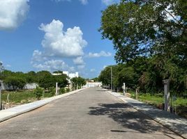  Terreno (Parcela) en venta en Yaxkukul, Yucatán, Yaxkukul