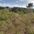  Land for sale in Valle Del Cauca, Dagua, Valle Del Cauca