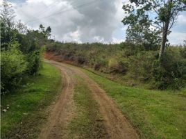  Terreno (Parcela) en venta en Valle Del Cauca, Dagua, Valle Del Cauca