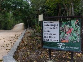  Terreno (Parcela) en venta en Cozumel, Quintana Roo, Cozumel