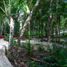  Terreno (Parcela) en venta en Cozumel, Quintana Roo, Cozumel