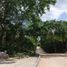  Terreno (Parcela) en venta en Cozumel, Quintana Roo, Cozumel
