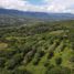  Land for sale in Fredonia, Antioquia, Fredonia