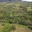  Terrain for sale in Fredonia, Antioquia, Fredonia