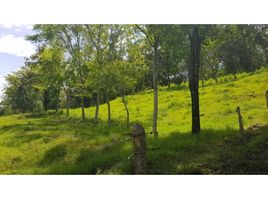  Land for sale in Fredonia, Antioquia, Fredonia