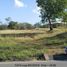  Terreno (Parcela) en venta en Tocumen International Airport, Tocumen, Tocumen