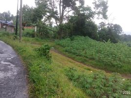  Land for sale in Bogor, West Jawa, Bogor Selatan, Bogor