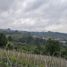  Terreno (Parcela) en venta en Lembang, West Jawa, Lembang, Bandung, West Jawa