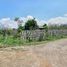  Terreno (Parcela) en venta en Karangploso, East Jawa, Karangploso, Malang Regency