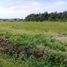  Land for sale in Ngaliyan, Jawa Tengah, Ngaliyan