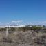  Land for sale in Allende, Guanajuato, Allende, Guanajuato, Mexico
