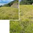  Land for sale in Girardota, Antioquia, Girardota