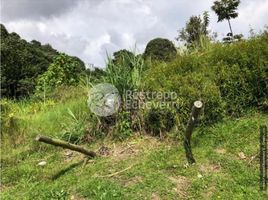  Terreno (Parcela) en alquiler en Manizales, Caldas, Manizales