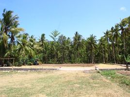  Land for sale in Yogyakarta, Pengasih, Kulon Progo, Yogyakarta