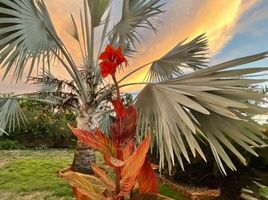 2 Schlafzimmer Villa zu verkaufen in Jipijapa, Manabi, Puerto De Cayo