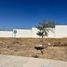  Land for sale in Zapopan, Jalisco, Zapopan, Jalisco
