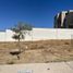  Land for sale in Zapopan, Jalisco, Zapopan, Jalisco