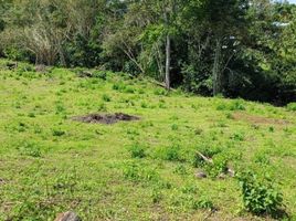  Terreno (Parcela) en venta en Cali, Valle Del Cauca, Cali