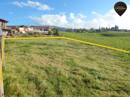  Land for sale in Victoria Del Portete Irquis, Cuenca, Victoria Del Portete Irquis