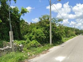  Grundstück zu verkaufen in Merida, Yucatan, Merida, Yucatan