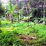  Land for sale in Selemadeg, Tabanan, Selemadeg