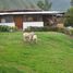  Grundstück zu verkaufen in Urubamba, Cusco, Urubamba