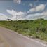 Land for sale in Hopelchen, Campeche, Hopelchen