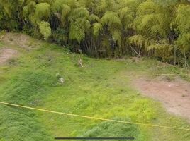  Land for sale in Pereira, Risaralda, Pereira