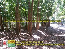  Land for sale in La Union, Ilocos, Bacnotan, La Union