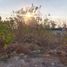  Land for sale in Tepotzotlan, Mexico, Tepotzotlan, Mexico, Mexico