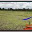  Land for sale in Ubud, Gianyar, Ubud