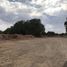  Terreno (Parcela) en venta en Morelos, Zacatecas, Morelos