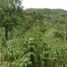  Land for sale in Dist Pochutla, Oaxaca, Dist Pochutla, Oaxaca, Mexico