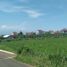  Land for sale in Bumiaji, Malang Regency, Bumiaji