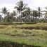  토지을(를) Tegallalang Rice Terrace, Tegallalang에서 판매합니다., Tegallalang