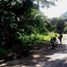  Land for sale in Cebu Central Visayas, Cebu City, Cebu, Central Visayas