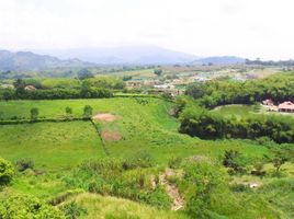  Grundstück zu verkaufen in Dosquebradas, Risaralda, Dosquebradas