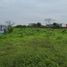  Terreno (Parcela) en venta en Daule, Guayas, Daule, Daule