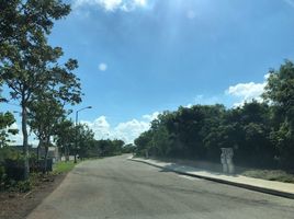  Grundstück zu verkaufen in Yaxkukul, Yucatan, Yaxkukul