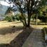 Terrain à vendre à Medellin, Antioquia, Medellin