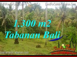  Land for sale in Selemadeg, Tabanan, Selemadeg